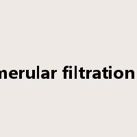 glomerular filtration rate是什么意思