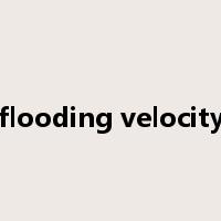 flooding velocity是什么意思