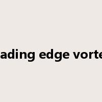 leading edge vortex是什么意思
