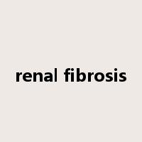 renal fibrosis是什么意思