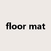 floor mat是什么意思