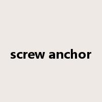 screw anchor是什么意思