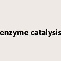 enzyme catalysis是什么意思