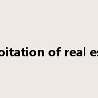 exploitation of real estate是什么意思