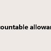 accountable allowance是什么意思