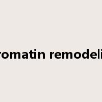 chromatin remodeling是什么意思