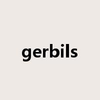 gerbils是什么意思