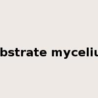 substrate mycelium是什么意思