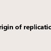 origin of replication是什么意思