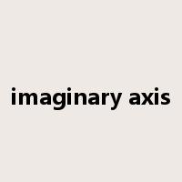 imaginary axis是什么意思