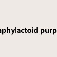 anaphylactoid purpura是什么意思
