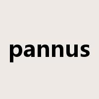 pannus是什么意思