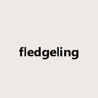 fledgeling是什么意思