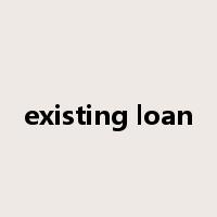 existing loan是什么意思