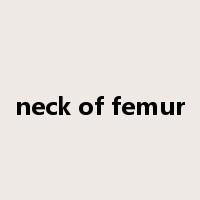 neck of femur是什么意思