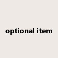 optional item是什么意思