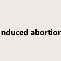 induced abortion是什么意思