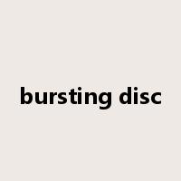 bursting disc是什么意思