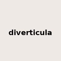 diverticula是什么意思
