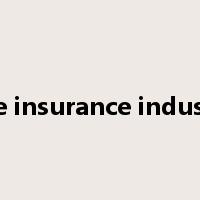 The insurance industry是什么意思
