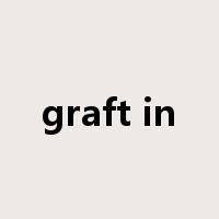 graft in是什么意思