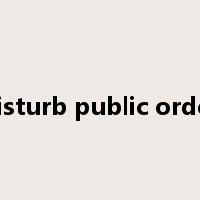 disturb public order是什么意思