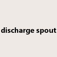 discharge spout是什么意思