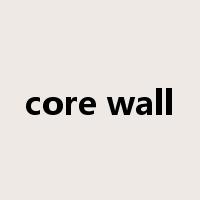 core wall是什么意思