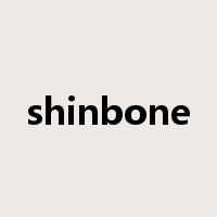 shinbone是什么意思