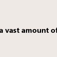 a vast amount of是什么意思