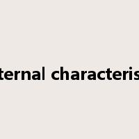 external characteristic是什么意思