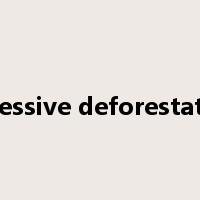 Excessive deforestation是什么意思