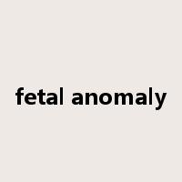 fetal anomaly是什么意思
