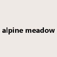 alpine meadow是什么意思