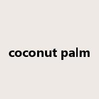 coconut palm是什么意思
