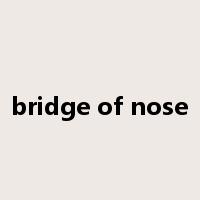 bridge of nose是什么意思