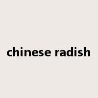 chinese radish是什么意思