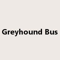 Greyhound Bus是什么意思