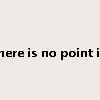 there is no point in是什么意思