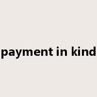 payment in kind是什么意思