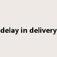 delay in delivery是什么意思
