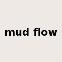 mud flow是什么意思