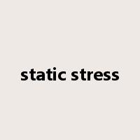 static stress是什么意思