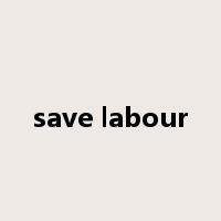 save labour是什么意思