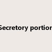 Secretory portion是什么意思