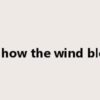 see how the wind blows是什么意思