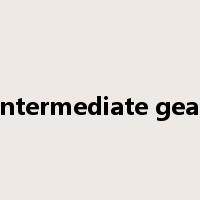 intermediate gear是什么意思