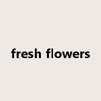 fresh flowers是什么意思