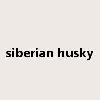 siberian husky是什么意思