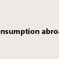 consumption abroad是什么意思